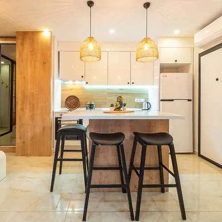 Jasmin 1 2+1 Appartement